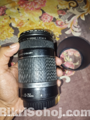 55-250 zoom lens